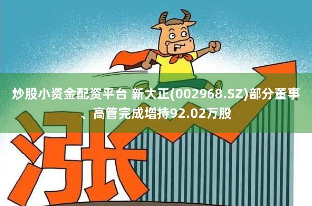 炒股小资金配资平台 新大正(002968.SZ)部分董事、高管完成增持92.02万股