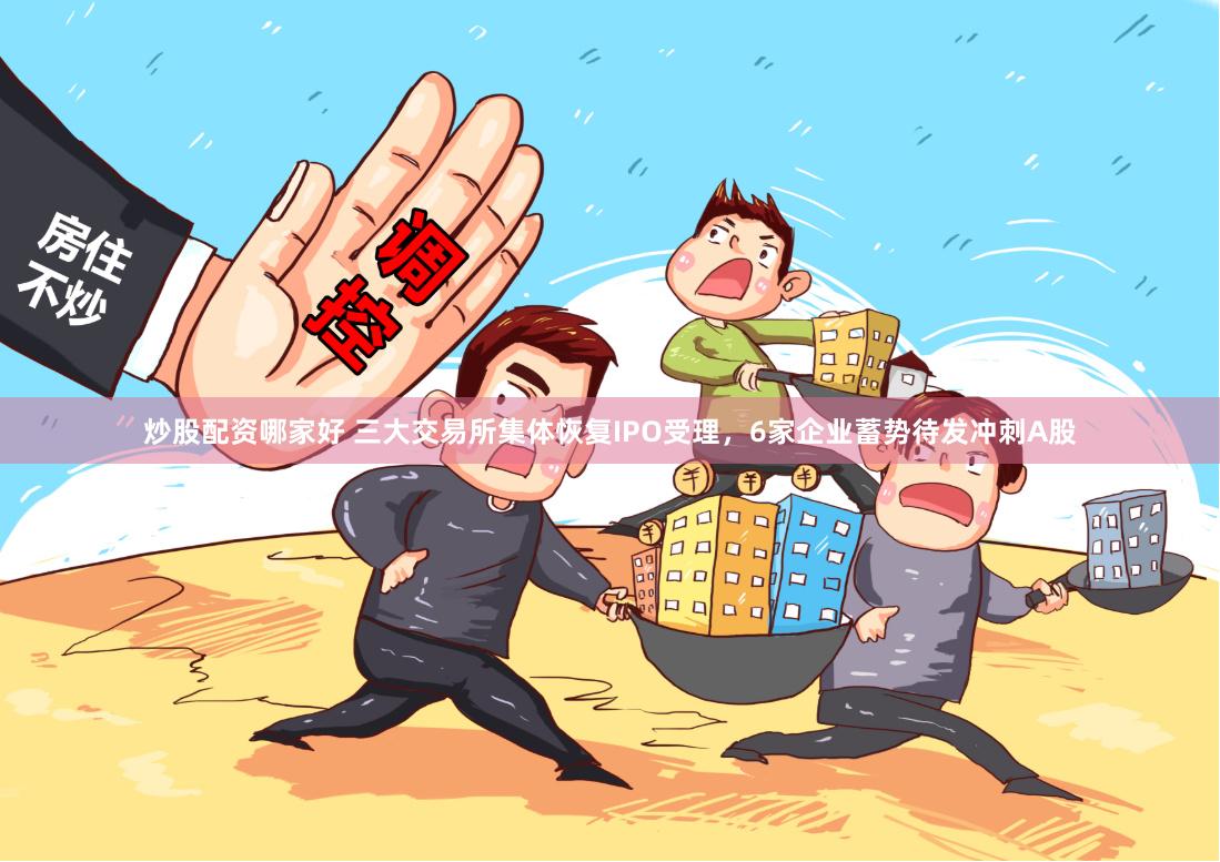 炒股配资哪家好 三大交易所集体恢复IPO受理，6家企业蓄势待发冲刺A股