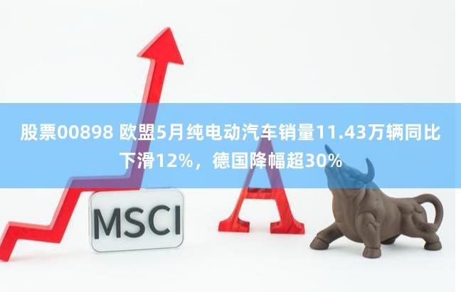 股票00898 欧盟5月纯电动汽车销量11.43万辆同比下滑12%，德国降幅超30%