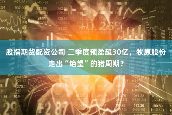 股指期货配资公司 二季度预盈超30亿，牧原股份走出“绝望”的猪周期？