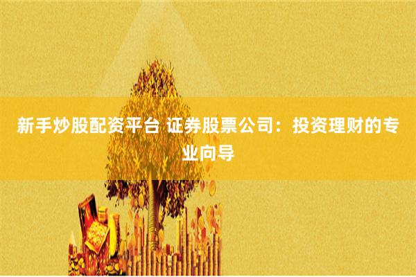 新手炒股配资平台 证券股票公司：投资理财的专业向导