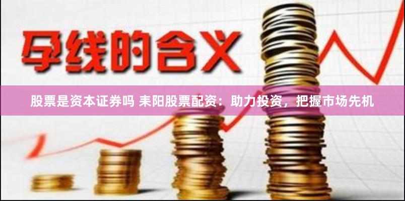 股票是资本证券吗 耒阳股票配资：助力投资，把握市场先机