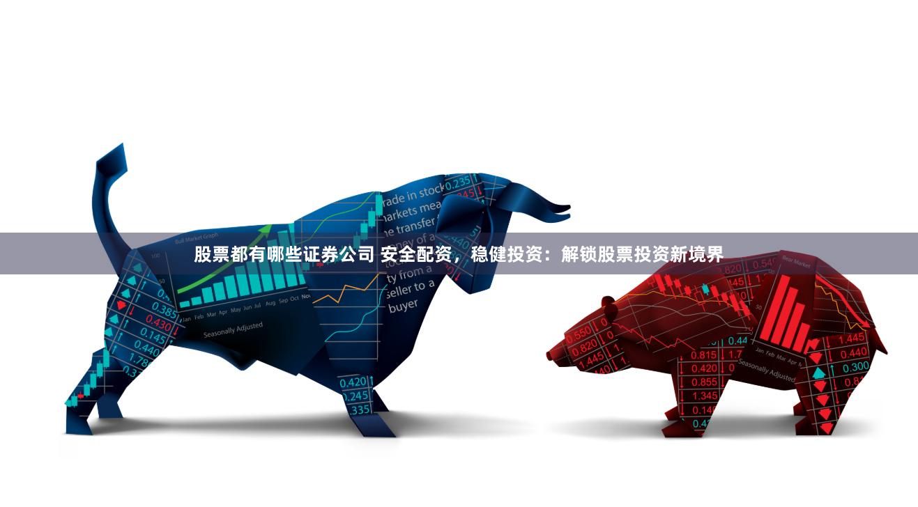 股票都有哪些证券公司 安全配资，稳健投资：解锁股票投资新境界