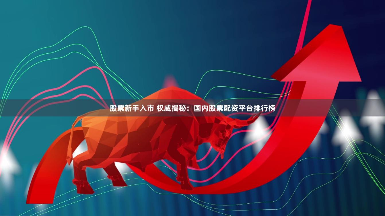 股票新手入市 权威揭秘：国内股票配资平台排行榜