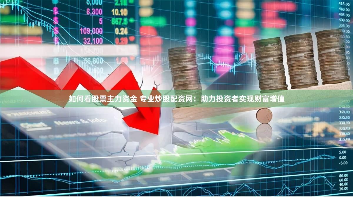 如何看股票主力资金 专业炒股配资网：助力投资者实现财富增值