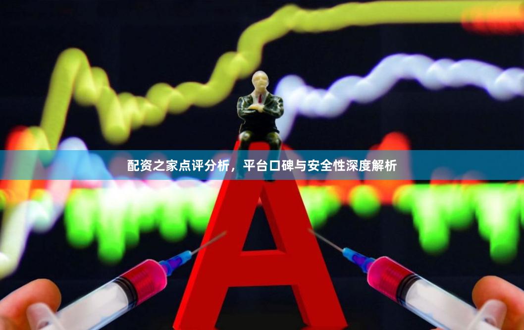 配资之家点评分析，平台口碑与安全性深度解析