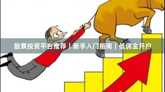 股票投资平台推荐｜新手入门指南｜低佣金开户