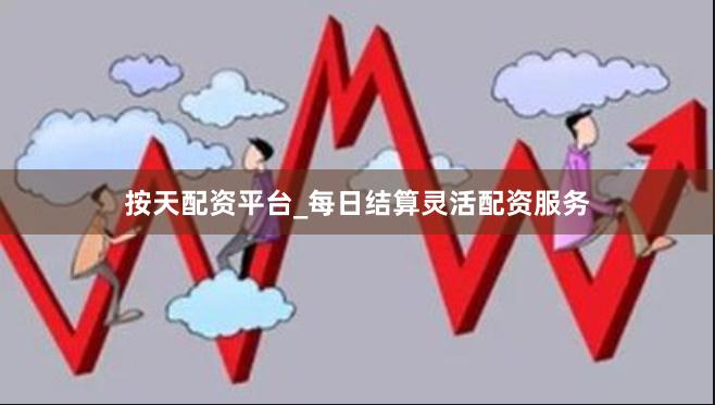 按天配资平台_每日结算灵活配资服务